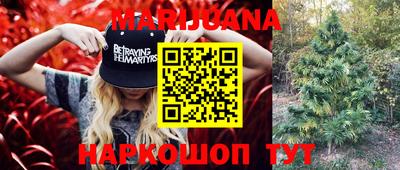 прущие грибы Пенза