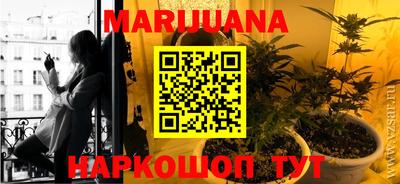 прущие грибы Пенза
