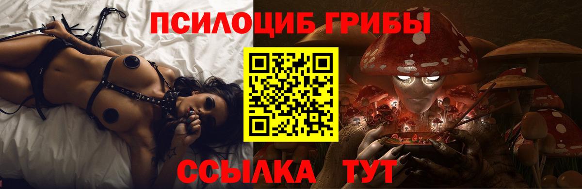 Псилоцибиновые грибы Cubensis Сосновый Бор