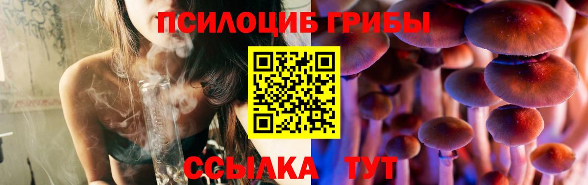 Сосновый Бор  Галлюциногенные грибы Cubensis  Вход с VPN 